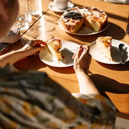 Gæstehus Pensiunea Pera Jurilovca